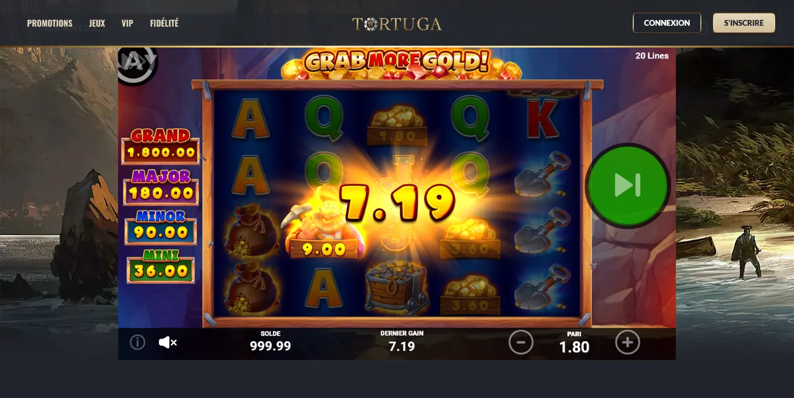image-4-4 Tortuga